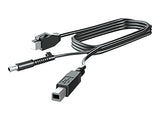 HP 300cm DP+Y CABLE L701xt