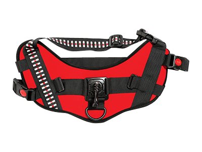 ACTIVEON 360 Dog Vest