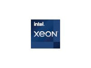 INTEL Xeon W-3335 4GHz FC-LGA16A 24M Cache Tray CPU