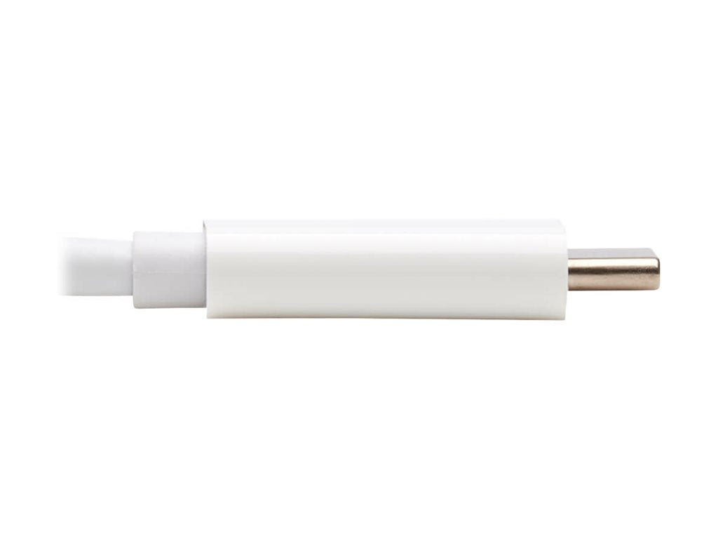 U444-06N-H4GU-C,USBTYPC/HDMI