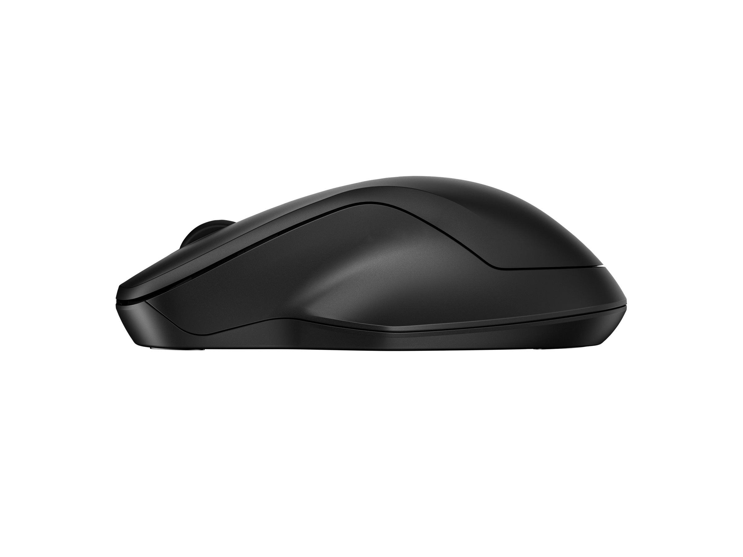 HP 255 Dual Wireless Mouse souris sans fil