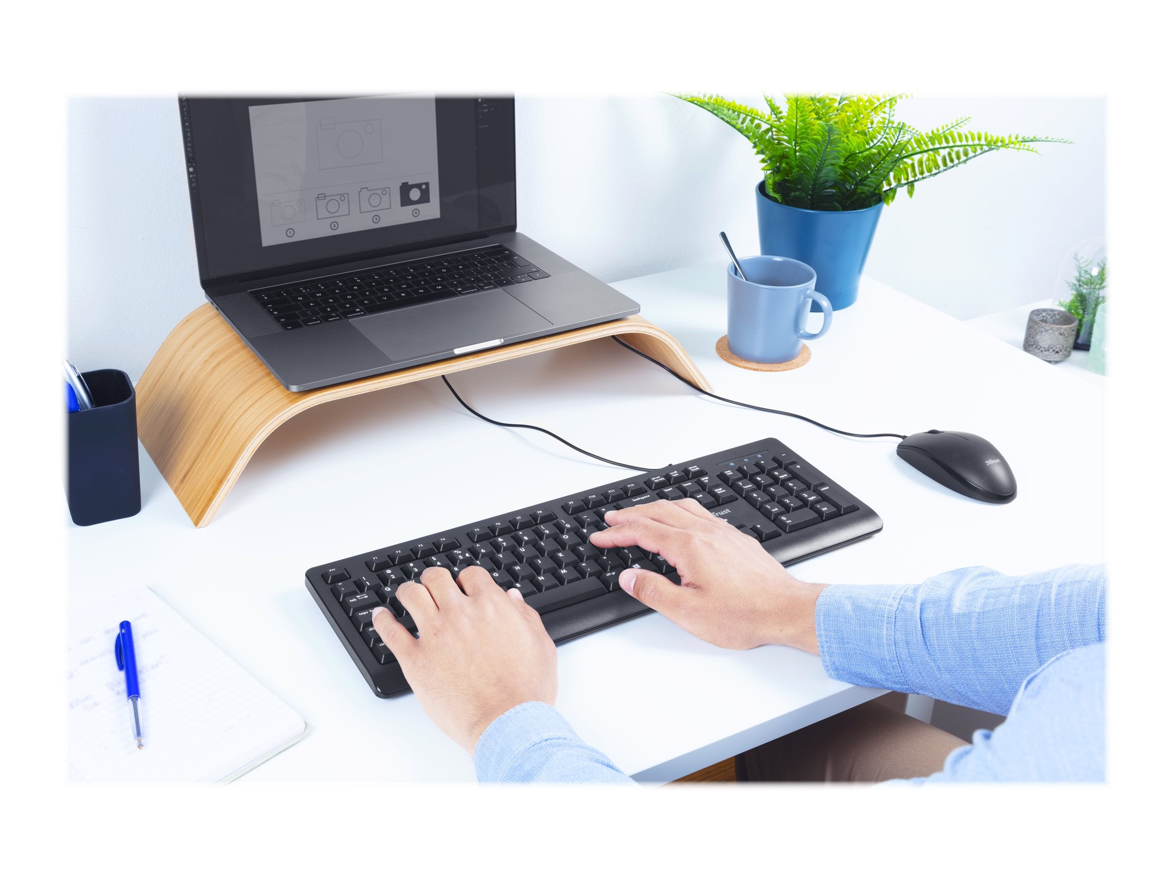 TRUST Clavier filaire PRIMO (FR)