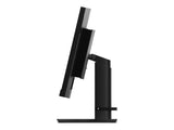 LENOVO ThinkVision P34w-20 34.14inch WQHD Ultra-Wide Curved Monitor HDMI Topseller