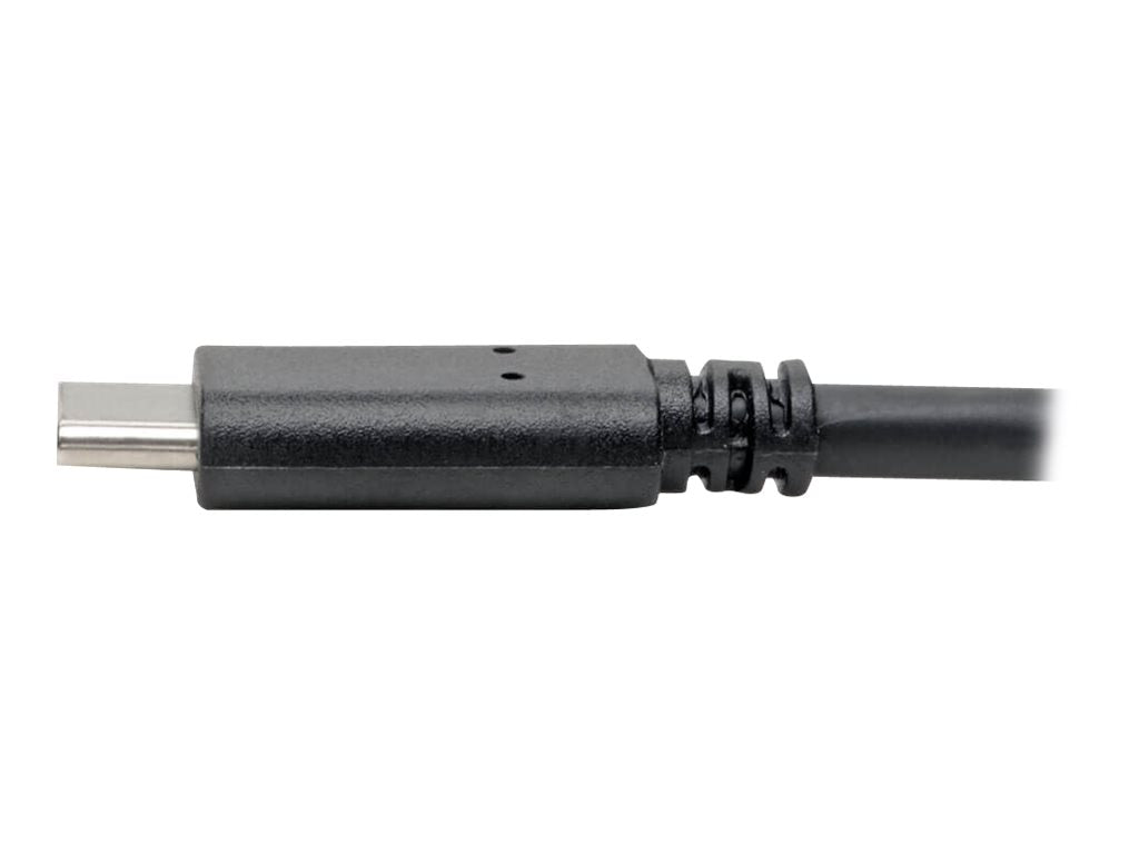 EATON TRIPPLITE USB-C to USB-A Cable M/M USB 3.1 Gen 1 5Gbps Thunderbolt 3 Compatible 6ft. 1.83m