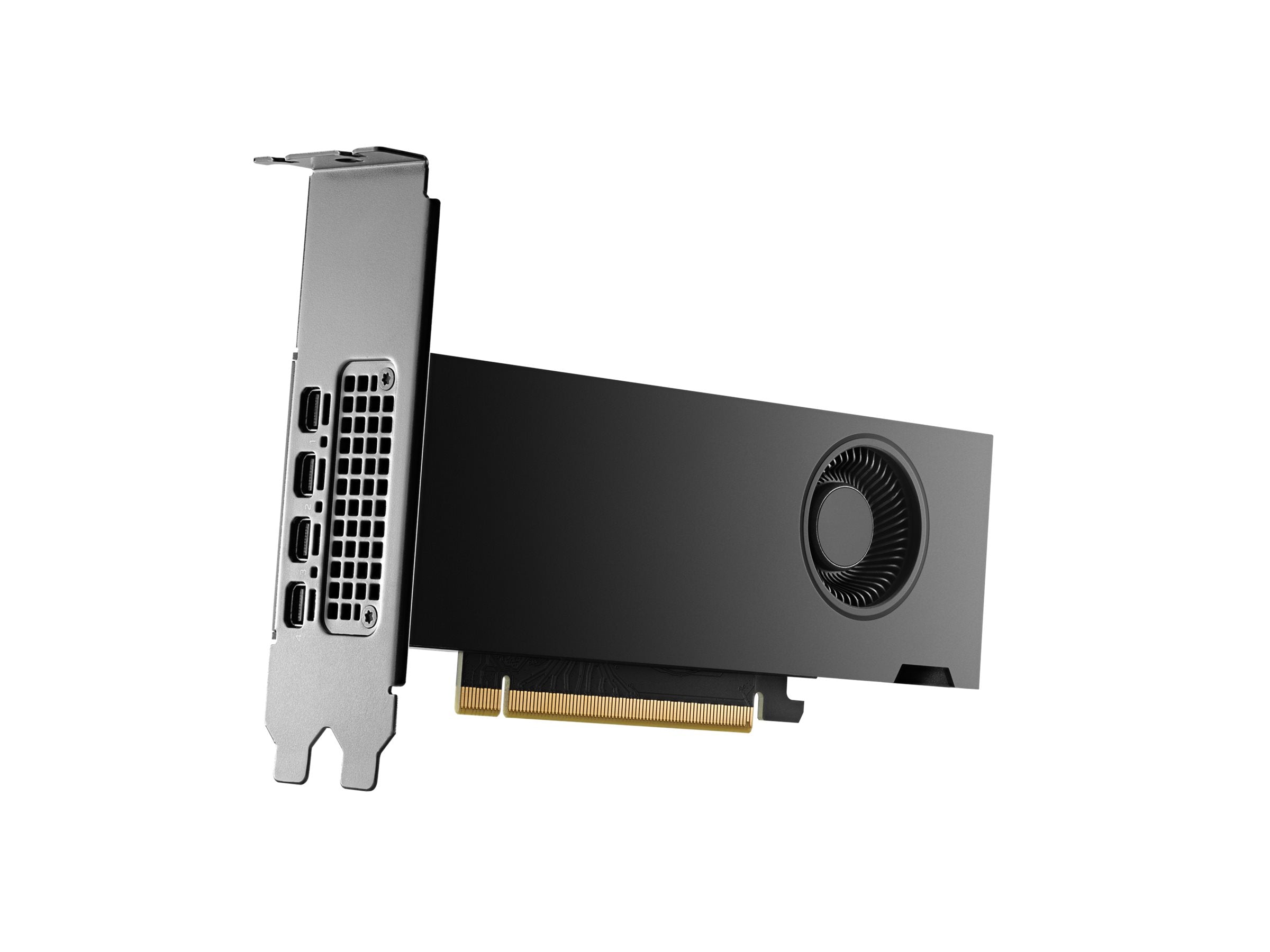 HP NVIDIA RTX 2000 Ada 16Go 4mDP Graphics