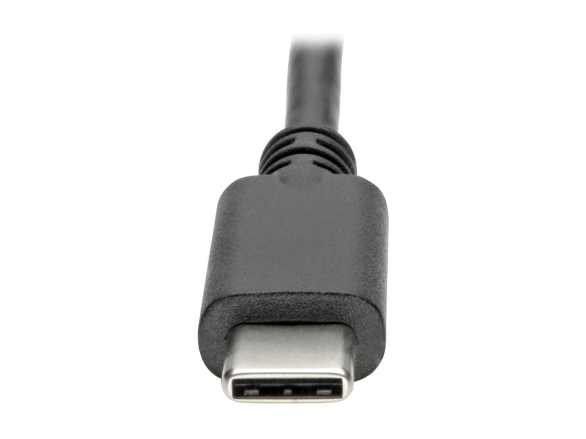 EATON TRIPPLITE USB C to HDMI Video Adapter Converter 4Kx2K M/F USB-C to HDMI USB Type-C to HDMI USB Type C to HDMI 6in External