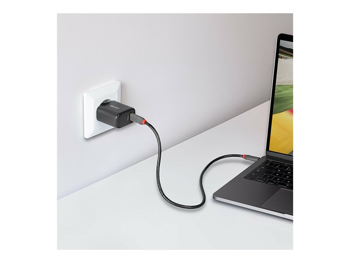 LINDY 65W USB 2 x Type C GaN Charger