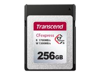 TRANSCEND 256Go CFExpress Card TLC