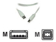 MCL Câble USB 2.0 type A / B mâle - 3m Translucide