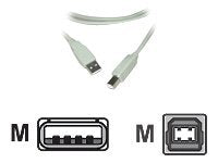 MCL Câble USB 2.0 type A / B mâle - 3m Translucide