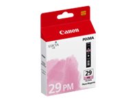 Ink/PGI-29 Cartridge Photo MG