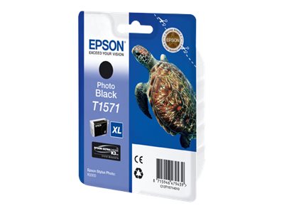 Ink/T1571 Turtle 25.9ml PBK