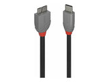 LINDY 2m USB 3.2 Type C to Micro-B Cable Anthra Line