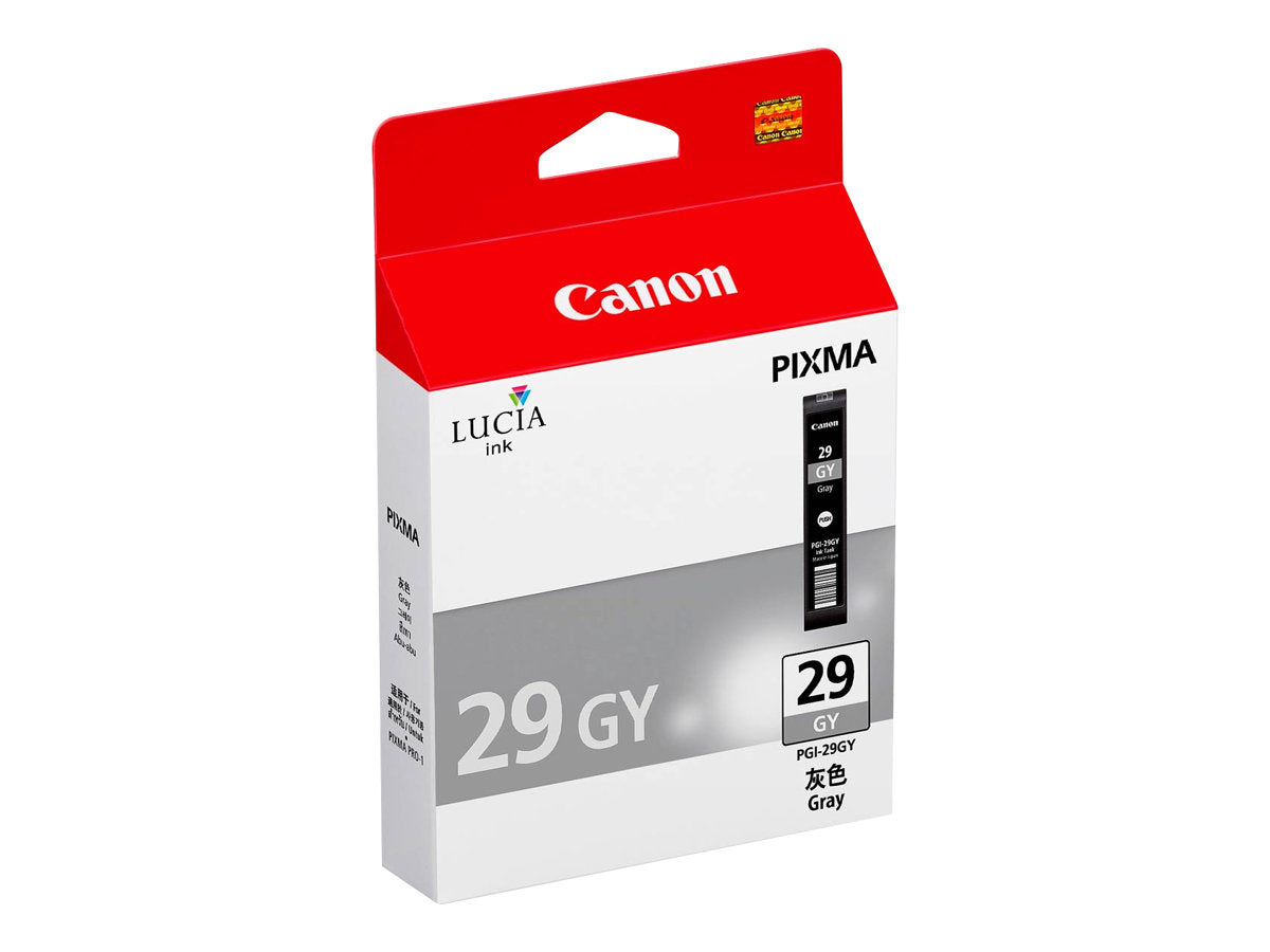 Ink/PGI-29 Cartridge GY