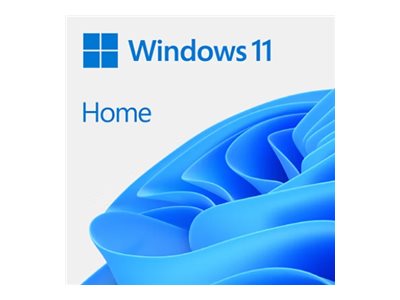 MS 1x Windows 11 Home 64-Bit DVD OEM English International (EN)