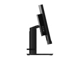 LENOVO ThinkVision P34w-20 34.14inch WQHD Ultra-Wide Curved Monitor HDMI Topseller