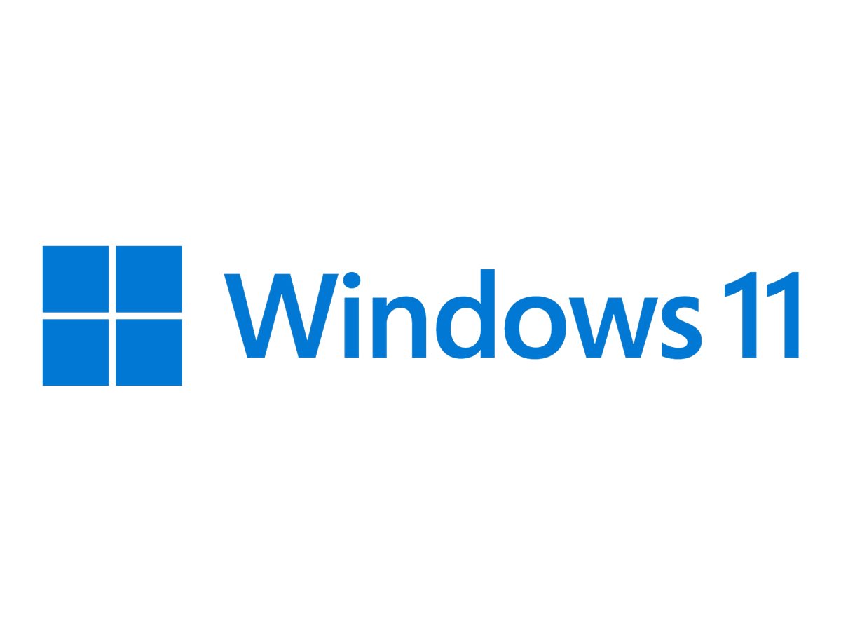 MS 1xWin 11 Pro 64Bit French 1pk DSP OEI DVD (FR)
