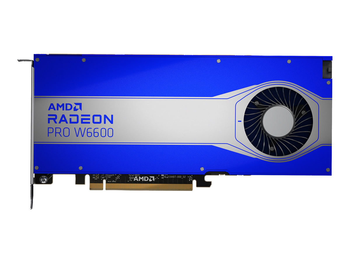 HP AMD Radeon Pro W6600 8Go GDDR6 4DP GFX