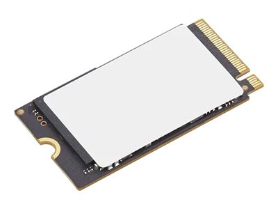 LENOVO 1To PCIe G4x4 2242 internal SSD