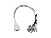 CISCO 8-Port Smart Antenna Connector to RP-TNC connectors 2ft