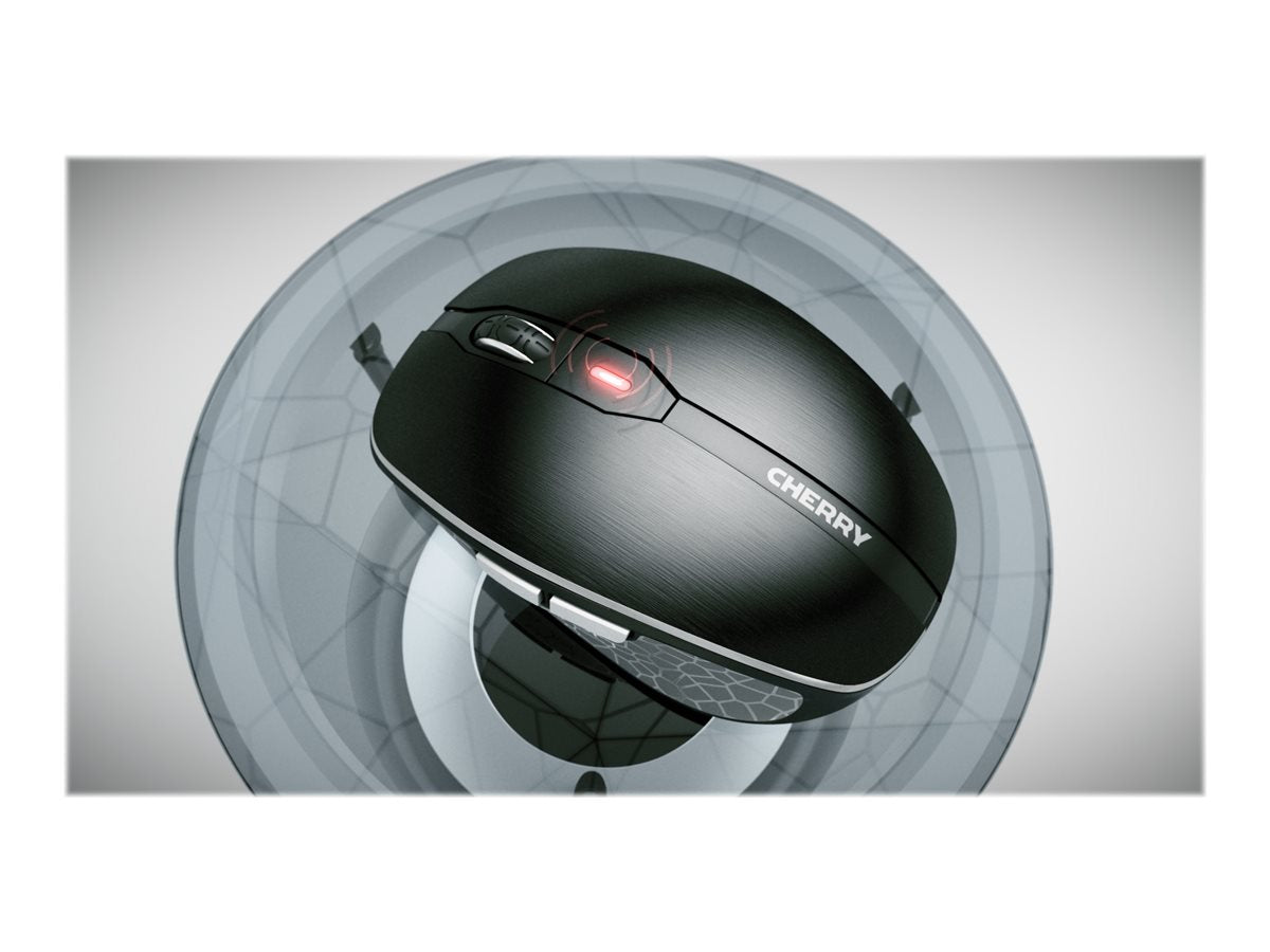 CHERRY Souris MW 8C ADVANCED sans fil USB & Bluetooth noire/argent rechargeable