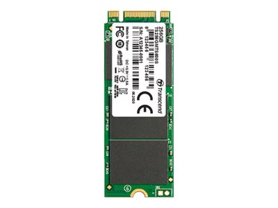 TRANSCEND 600S 256Go M.2 2260 SSD SATA3 B+M Key MLC