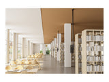 NEOMOUNTS CL35-440BL16XL Support de plafond pour écran de 37-70p - h 250-300 cm