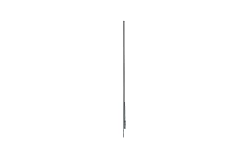 LG - Afficheur Professionnel 55" 55EW5G-V