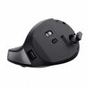 TRUST Souris egonomique BAYO II sans fil - Noire