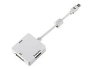 MINI DISPLAYPORT TO HDMI/DVI/DP