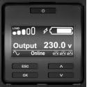 APC Smart-UPS SRT 1000VA UPS rack-mountable / external AC 230V 1000Watt 1000VA RS-232 USB output connectors 6 PFC Black