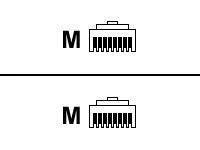 RARITAN CSCSPCS-1-5PK Pack de 5 Cordons 30cm  (RJ45 Male - RJ45 Female) pour Dom