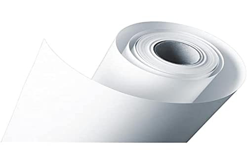 EPSON S045007 Standard proofing  papier inkjet 205g/m2 432mm x 50m 1 rouleau pack de 1