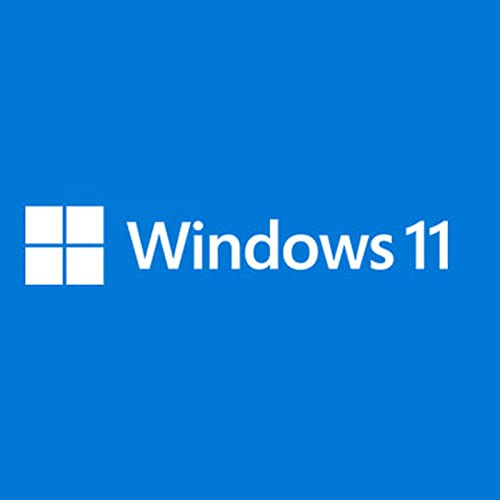 MS 1xWin 11 Pro for Wrkstns 64Bit French 1pk DSP OEI DVD (FR)