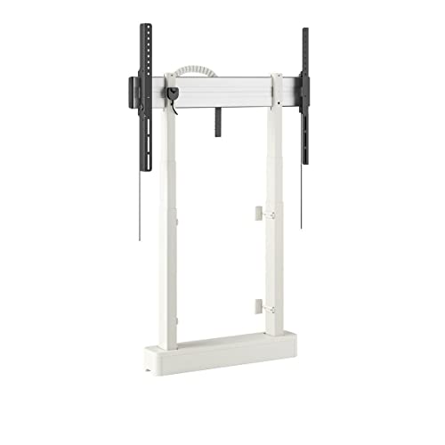 RISE 2005 MOTOR DISP LIFT F/W 50 W EU WH