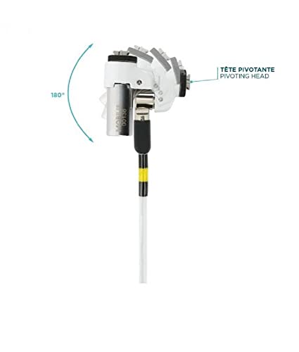 MOBILIS Câble de sécurité Tête Fine avec Verrou à Clé pour Encoche Nano