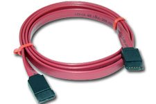 Câble SATA - 100 cm