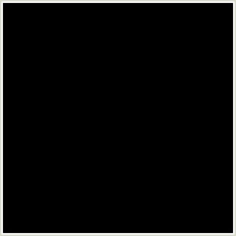NEOMOUNTS CPU-M100BLACK Support pour ordinateur - max 10 kg - universel