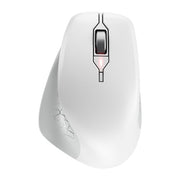 CHERRY Souris STREAM COMFORT sans fil blanche