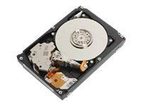 E-Perf HDD 2.4TB 2.5 10.5k SAS 12G 5xxe