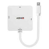 LINDY Adaptateur Mini DP 1.2 vers HDMI 4K30 DVI VGA