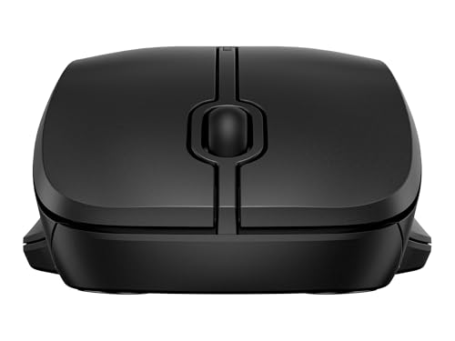 HP 255 Dual Wireless Mouse souris sans fil