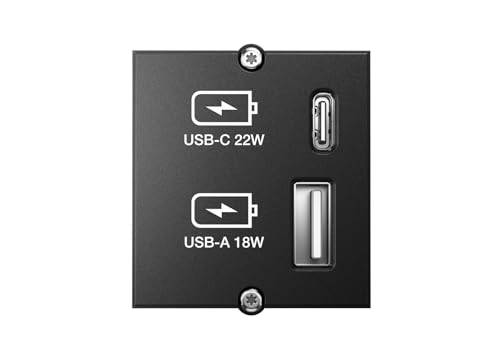 BACHMANN Plastron chargeur 2 ports USB A et C