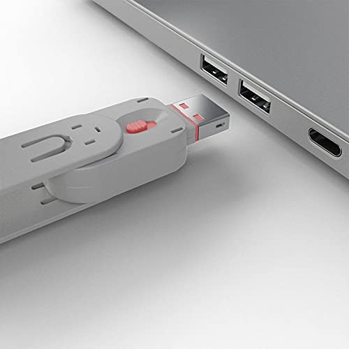 LINDY Clé USB et 4 bloqueurs de ports USB Rose