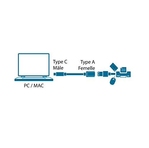 MCL Adaptateur USB 3.1 type C mâle / USB type A femelle - 17cm   (P)