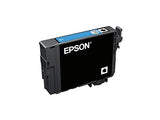 EPSON 1LB Singlepack Cyan 502 Ink SEC w/s