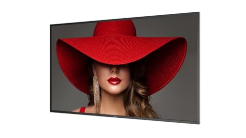 PHILIPS Afficheur professionnel 55" D-line