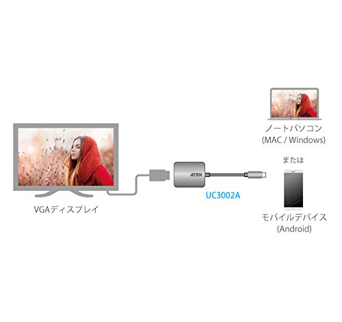 ATEN UC3002A-AT câble vidéo et adaptateur USB Type-C VGA (D-Sub) Noir, Argent