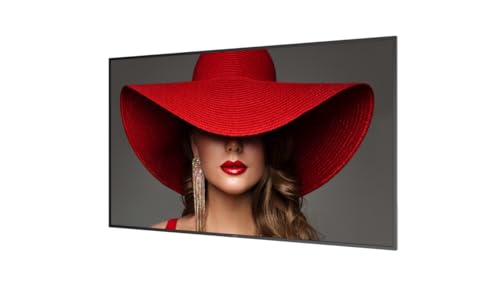 PHILIPS- Afficheur professionnel 75" 75BDL4650D/00