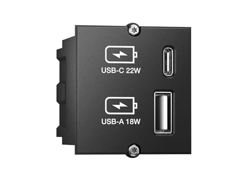BACHMANN Plastron chargeur 2 ports USB A et C